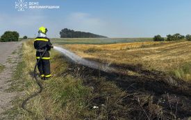 Минулої доби рятувальники області 5 разів виїжджали на гасіння загорянь сухої рослинності