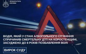 Водія, який у стані алкогольного сп'яніння спричинив смертельну ДТП на Коростенщині, засуджено до 8 років позбавлення волі