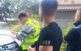 СБУ заблокувала мільйонну схему незаконної вирубки та легалізації комунального лісу на Житомирщині