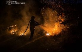 На Житомирщині минулої доби виникло 11 пожеж сухої рослинності, вогнем пройдено майже 10 га території