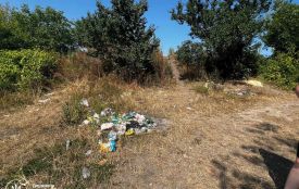 Екоінспекція перевірила повідомлення у соцмережах про стихійні сміттєзвалища біля місць відпочинку в Житомирі