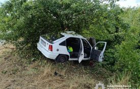 ДТП неподалік Туровця: автівка злетіла в кювет, загинула водійка