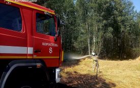Під час пожежі сухої рослинності на Коростенщині опіки отримав 80-річний чоловік