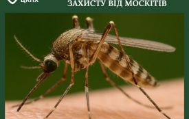 До Всесвітнього дня захисту від москитів: Маленькі комахи - великі ризики для здоров’я