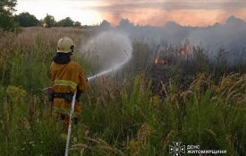 На Житомирщині продовжує горіти суха трава: упродовж доби рятувальники 9 разів виїжджали на гасіння загорянь