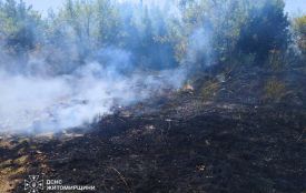 За минулу добу на Житомирщині рятувальники загасили 14 пожеж сухої рослинності на площі майже 8 га
