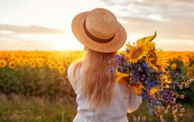 Прохолодні ночі і теплі дні: прогноз погоди у Житомирі
