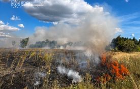 За минулу добу рятувальники Житомирщини ліквідували 26 пожеж, 19 із них — загоряння сухої трави