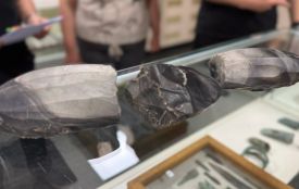 Київські митники передали музею на Житомирщині археологічні артефакти 6 тисячоліття до н.е.