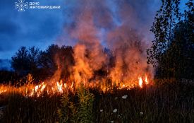 Минулої доби в області сталося 5 загорянь сухої трави: 74-річна жінка отримала опіки, намагаючись загасити палаючу стерню