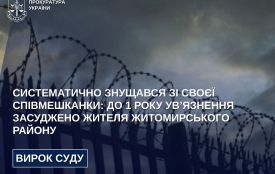 Систематично знущався зі своєї співмешканки: до 1 року ув’язнення засуджено жителя Житомирського району