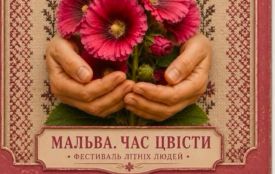 У Житомирі скасували запланований на 21 серпня фестиваль  «МАЛЬВА. ЧАС ЦВІСТИ»