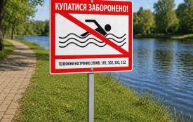 На пляжах Житомирщини вода не відповідає нормам