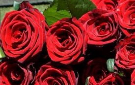 Лише через рік і сім місяців на щиті повернувся до рідного Житомира Захисник Максим Радецький
