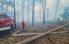 Рятувальники та лісівники продовжують гасити низову лісову пожежу в природному заповіднику «Древлянський» на Коростенщині