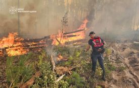 68 рятувальників продовжують гасити лісову пожежу в заповіднику «Древлянський»
