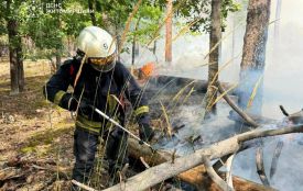 У Коростенському районі триває ліквідація лісової пожежі на території природного заповідника «Древлянський»