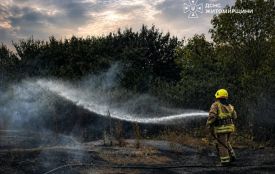 У селі Житомирського району під час пожежі сухостою отруєння чадним газом отримав 74-річний чоловік