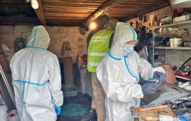 У рамках операції "Рубікон" на Житомирщині поліція вилучила з незаконного обігу понад 20 кг психотропів на понад 2 млн грн
