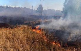 У селі Бердичівського району 46-річна жінка травмувалася під час гасіння пожежі сухостою
