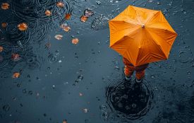 1 вересня у Житомирі дощитиме, температура +22-24°