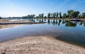 Річки міліють до історичних мінімумів: чи загрожує Україні нестача води