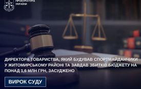 Директора товариства, який будував спортмайданчики у Житомирському районі та завдав збитків бюджету на понад 1,6 млн грн, засуджено