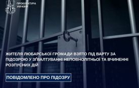 Жителя Любарської громади взято під варту за підозрою у зґвалтуванні неповнолітньої та вчиненні розпусних дій