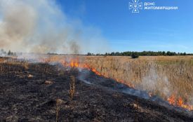 Минулої доби рятувальники області 7 разів виїжджали на гасіння пожеж сухої трави