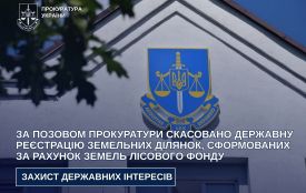 За позовом прокуратури скасовано державну реєстрацію земельних ділянок, сформованих за рахунок земель лісового фонду