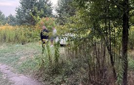 Неподалік лісового масиву в Оліївській громаді правоохоронці викрили "кур`єра-закладника" з Вінниччини