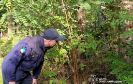 Поблизу с. Кам’янка шукали заблукалого грибника: 40-річного чоловіка знайшли місцеві жителі