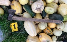 Двічі вдарив  вітчима співмешканки сокирою по голові: на Олевщині поліцейські повідомили причетному про підозру в замаху на вбивство
