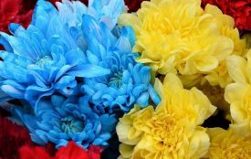 Лише через рік на щиті повернувся до рідного Житомир Захисник Віталій Годлевський