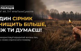 Прибирайте безпечно: поліцейські Житомира нагадують про заборону спалювання сухої рослинності