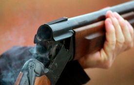 Бердичівлянин застрелив сусідського собаку з пневматичної рушниці: йому оголошено про підозру у жорстокому поводженні з твариною