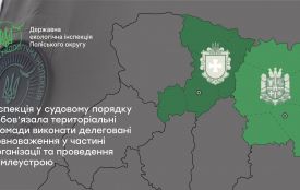 Суд зобов'язав Малинську міську раду забезпечити встановлення меж прибережних смуг і заказника
