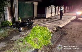 Звягельські поліцейські завершили розслідування ДТП, в якій тяжкі травми отримала пасажирка мотоцикла