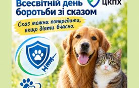Всесвітній день боротьби зі сказом: сказу можна запобігти, якщо діяти вчасно