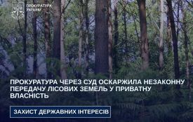 Прокуратура через суд оскаржила незаконну передачу лісових земель на Звягельщині у приватну власність
