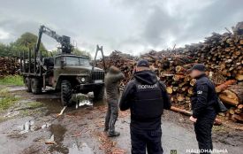 Збитки на понад 33 мільйони гривень: на Житомирщині поліцейські викрили групу «чорних» лісорубів