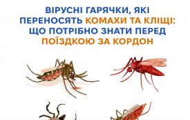 Вірусні гарячки,які переносять комахи та кліщі: що потрібно знати перед поїздкою за кордон