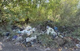 Уздовж вулиці Андріївської у Житомирі екоінспектори знову виявили несанкціоноване звалище відходів