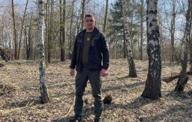 Коли збір грибів, ягід, горіхів та лікарських рослин не потребує дозволу: роз’яснення ДЕІ Поліського округу