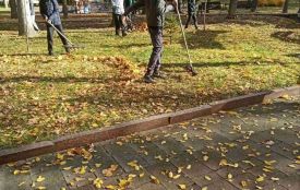 У Житомирській громаді з 12 жовтня розпочинається осіннє загальноміське санітарне прибирання