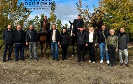 Підтримка без слів: як іпотерапія об'єднала захисників Житомирщини