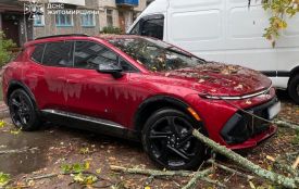 У Коростені  впало на припаркований легковий автомобіль