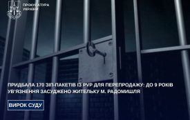 Придбала 170 зіп-пакетів із PVP для перепродажу: до 9 років ув’язнення засуджено жительку м. Радомишля