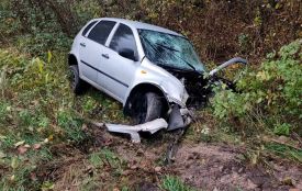 На Овруччині водій легковика отримав травми після зіткнення з лісовозом
