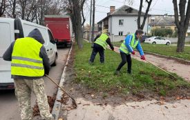 У Житомирі продовжується осіннє прибирання